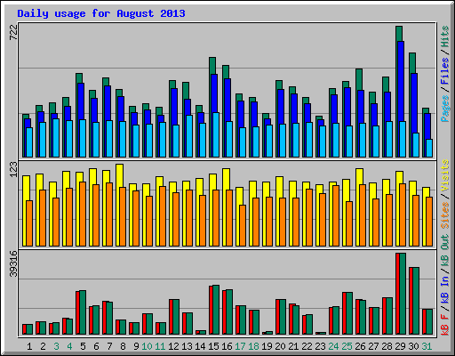 Daily usage for August 2013