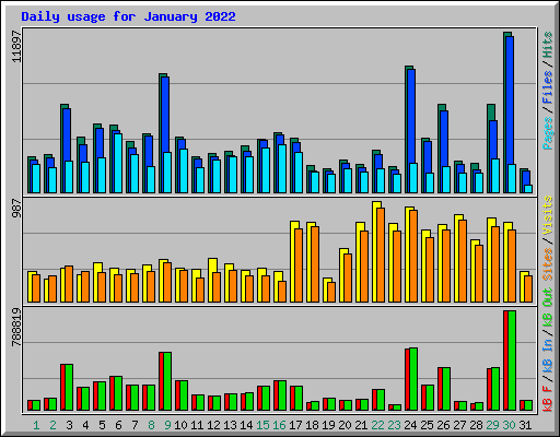 Daily usage for January 2022