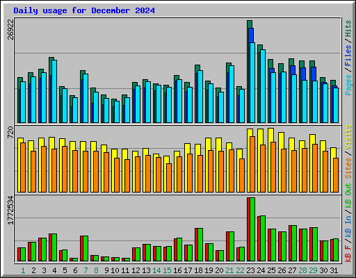 Daily usage for December 2024