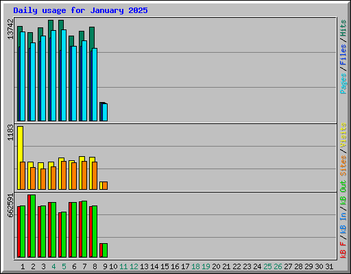 Daily usage for January 2025