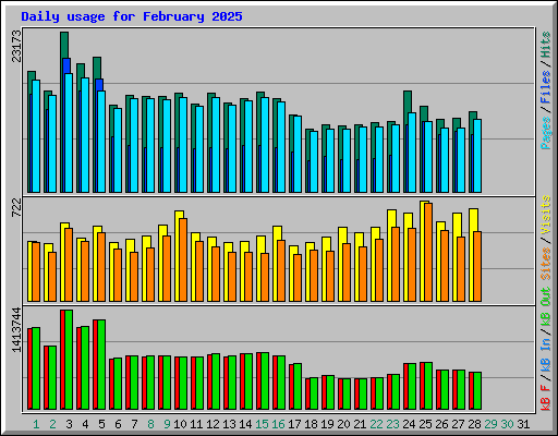Daily usage for February 2025