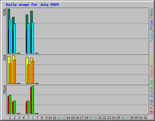 Daily usage for July 2025