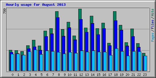 Hourly usage for August 2013