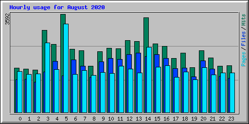 Hourly usage for August 2020