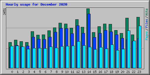 Hourly usage for December 2020