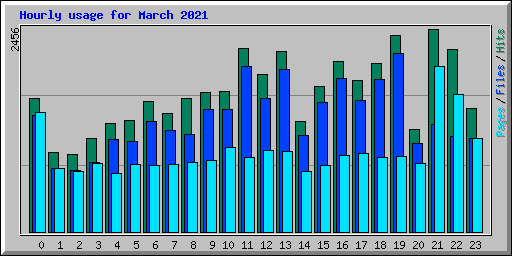 Hourly usage for March 2021