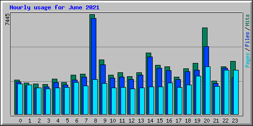 Hourly usage for June 2021