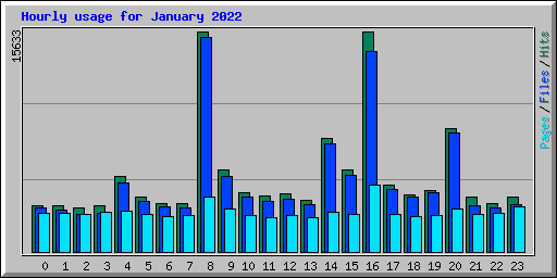 Hourly usage for January 2022