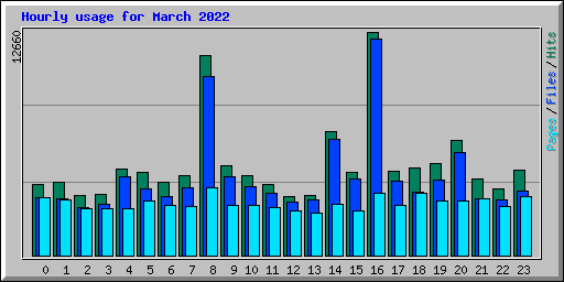 Hourly usage for March 2022