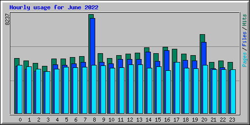 Hourly usage for June 2022