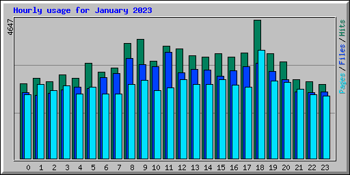 Hourly usage for January 2023