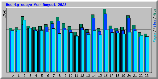 Hourly usage for August 2023