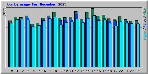 Hourly usage for December 2023