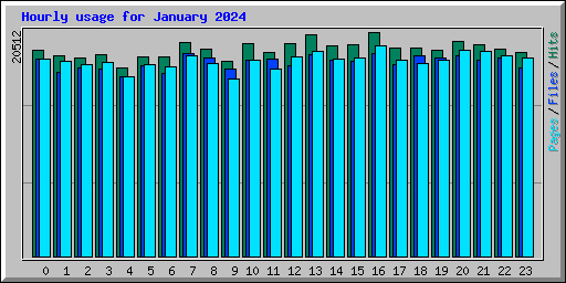 Hourly usage for January 2024