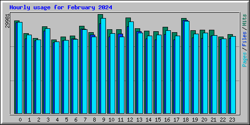 Hourly usage for February 2024