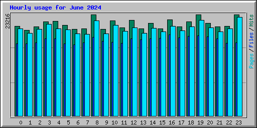 Hourly usage for June 2024