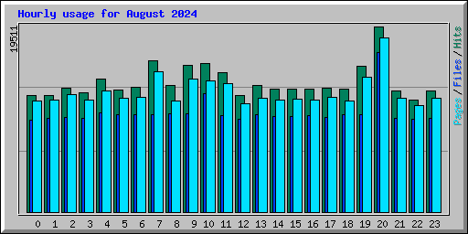 Hourly usage for August 2024