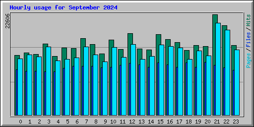 Hourly usage for September 2024