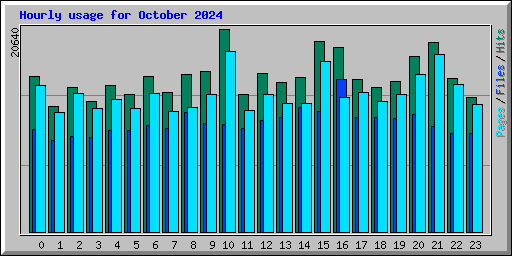 Hourly usage for October 2024