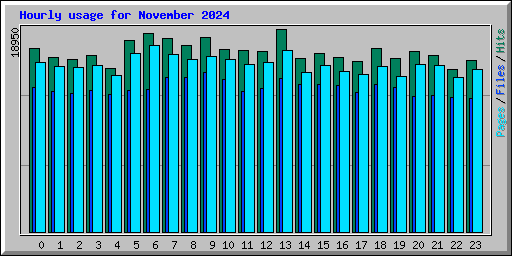 Hourly usage for November 2024