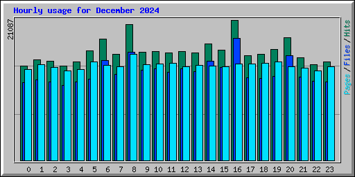 Hourly usage for December 2024