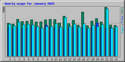 Hourly usage for January 2025