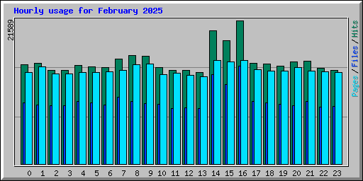 Hourly usage for February 2025