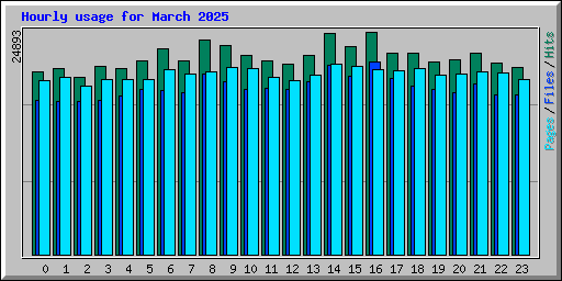 Hourly usage for March 2025