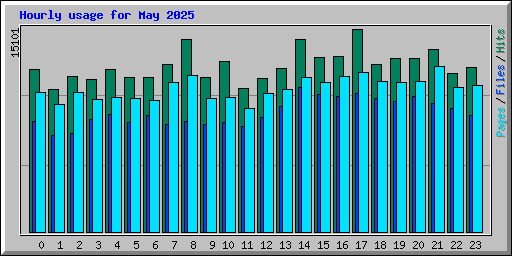 Hourly usage for May 2025