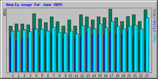 Hourly usage for June 2025