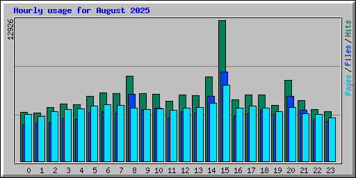 Hourly usage for August 2025