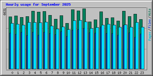Hourly usage for September 2025