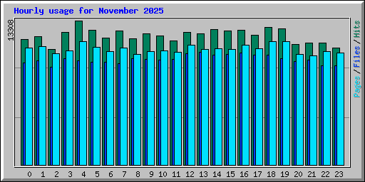 Hourly usage for November 2025