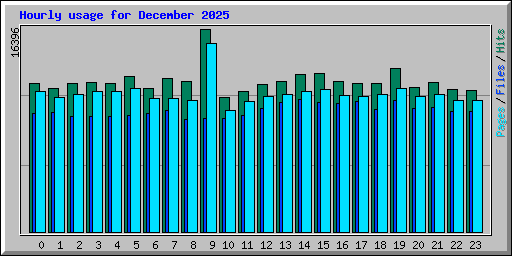 Hourly usage for December 2025