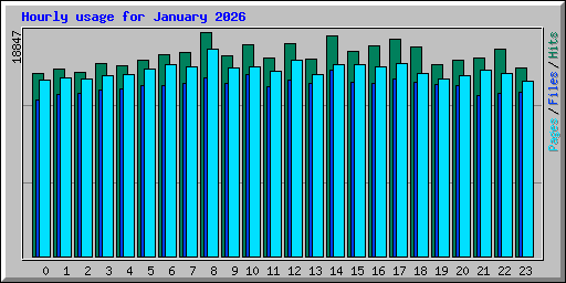 Hourly usage for January 2026