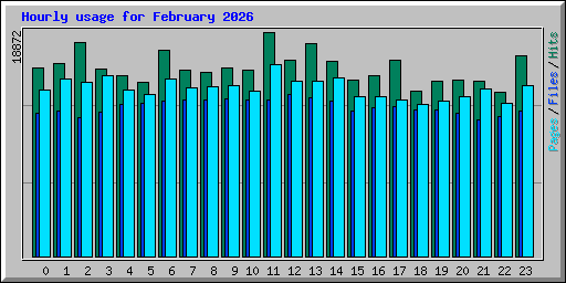 Hourly usage for February 2026