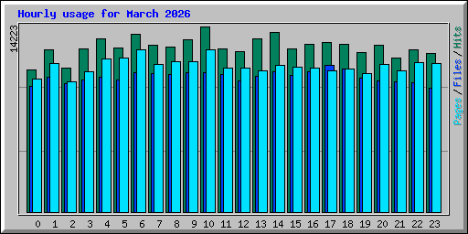 Hourly usage for March 2026