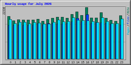 Hourly usage for July 2026
