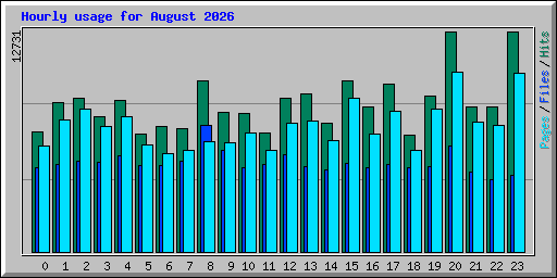 Hourly usage for August 2026