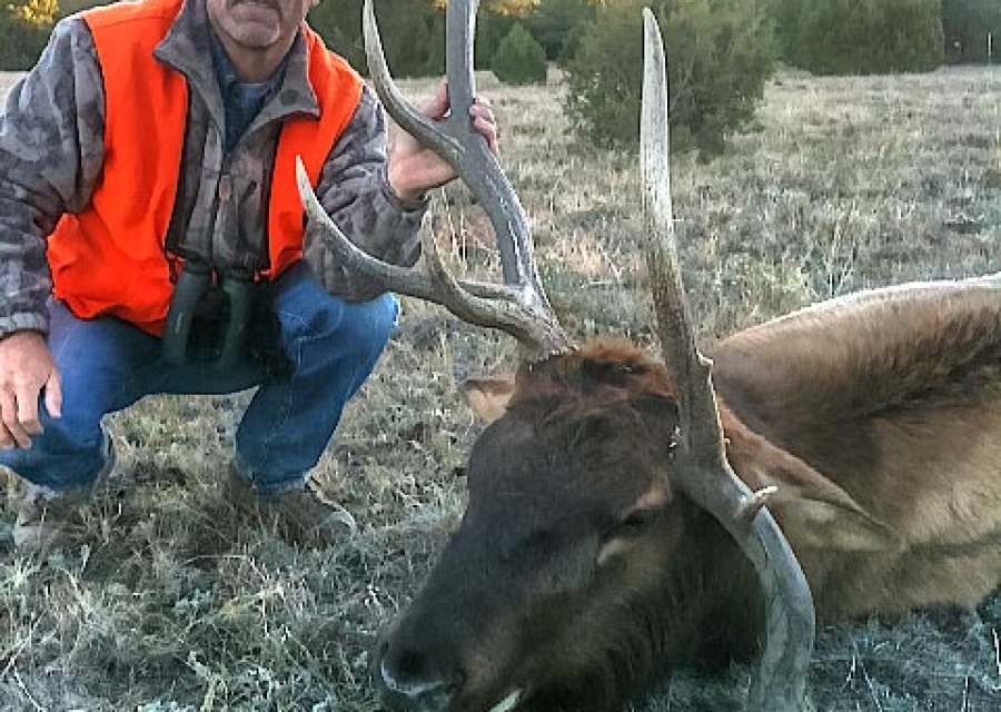 Hunter with a harvested bull elk.