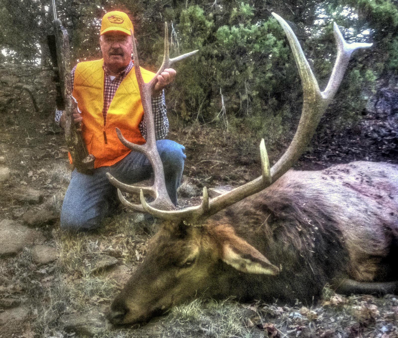 Hunter with a harvested bull elk.