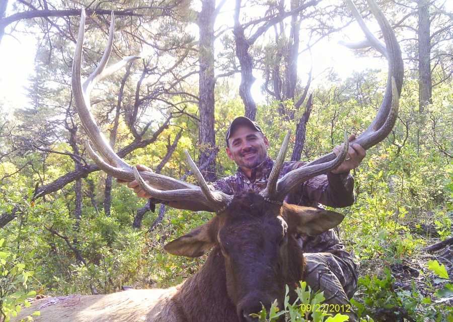 Hunter with a harvested bull elk.
