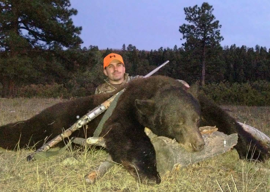 Harvested bear