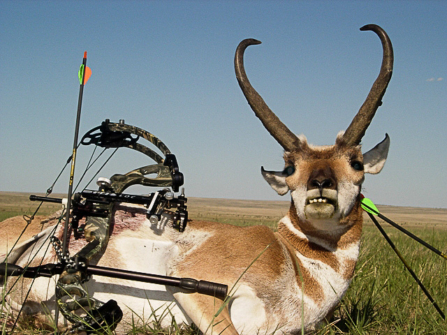 Antelope_Archery_2009_3