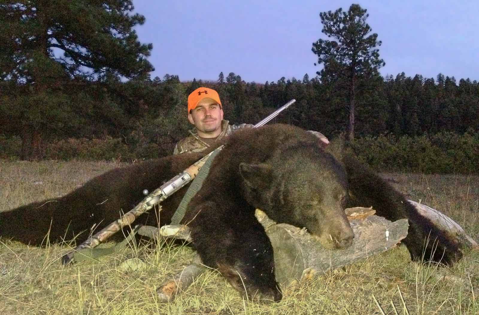 Harvested bear